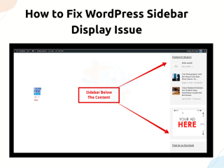 How to Fix WordPress Sidebar Display Issue? | The Instant Solutions