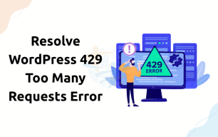 429 Too Many Requests Error